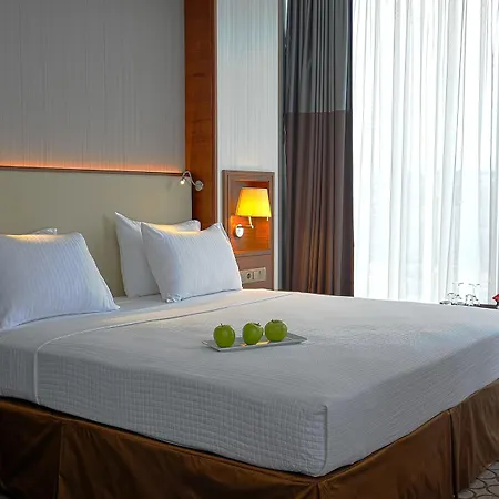 Anemon Grand Hotel Samsun